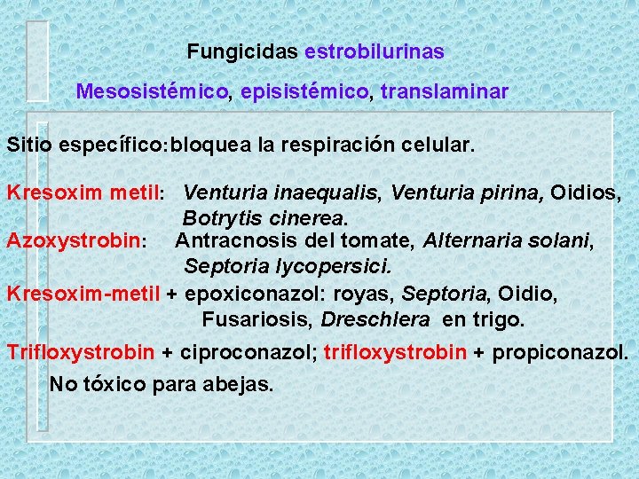 Fungicidas estrobilurinas Mesosistémico, episistémico, translaminar Sitio específico: bloquea la respiración celular. Kresoxim metil: Venturia