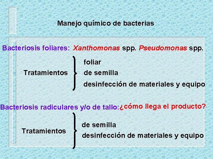 Manejo químico de bacterias Bacteriosis foliares: Xanthomonas spp. Pseudomonas spp. Tratamientos foliar de semilla