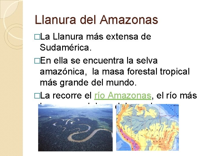 Llanura del Amazonas �La Llanura más extensa de Sudamérica. �En ella se encuentra la