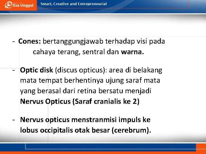 - Cones: bertanggungjawab terhadap visi pada cahaya terang, sentral dan warna. - Optic disk