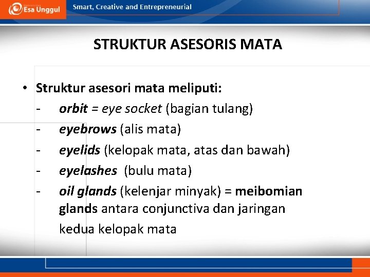 STRUKTUR ASESORIS MATA • Struktur asesori mata meliputi: - orbit = eye socket (bagian