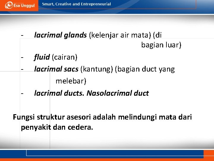 - lacrimal glands (kelenjar air mata) (di bagian luar) fluid (cairan) lacrimal sacs (kantung)
