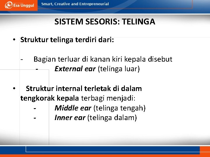 SISTEM SESORIS: TELINGA • Struktur telinga terdiri dari: - • Bagian terluar di kanan