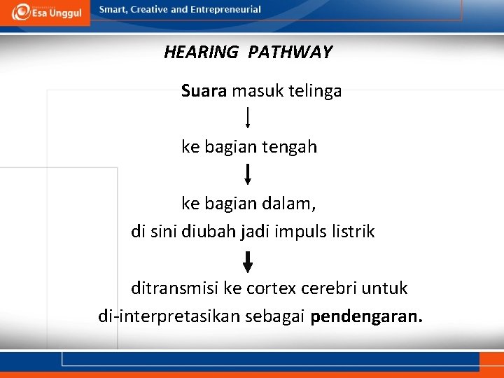 HEARING PATHWAY Suara masuk telinga ke bagian tengah ke bagian dalam, di sini diubah