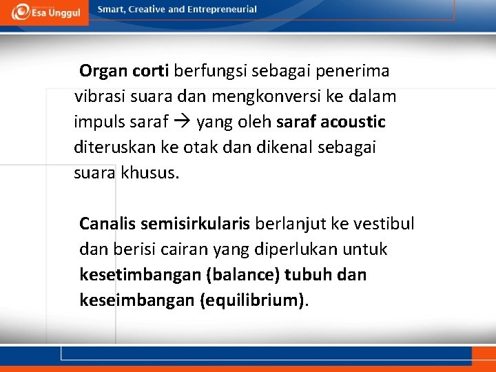 Organ corti berfungsi sebagai penerima vibrasi suara dan mengkonversi ke dalam impuls saraf yang