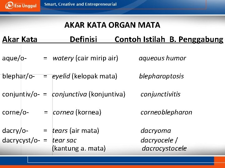 AKAR KATA ORGAN MATA Akar Kata Definisi Contoh Istilah B. Penggabung aque/o- = watery