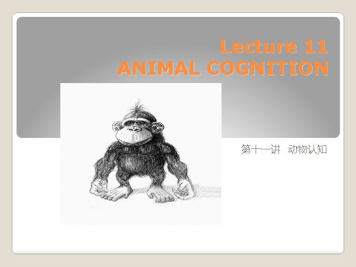 Lecture 11 ANIMAL COGNITION 第十一讲 动物认知 