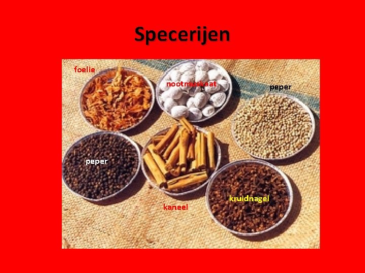 Specerijen foelie nootmuskaat peper kaneel kruidnagel 