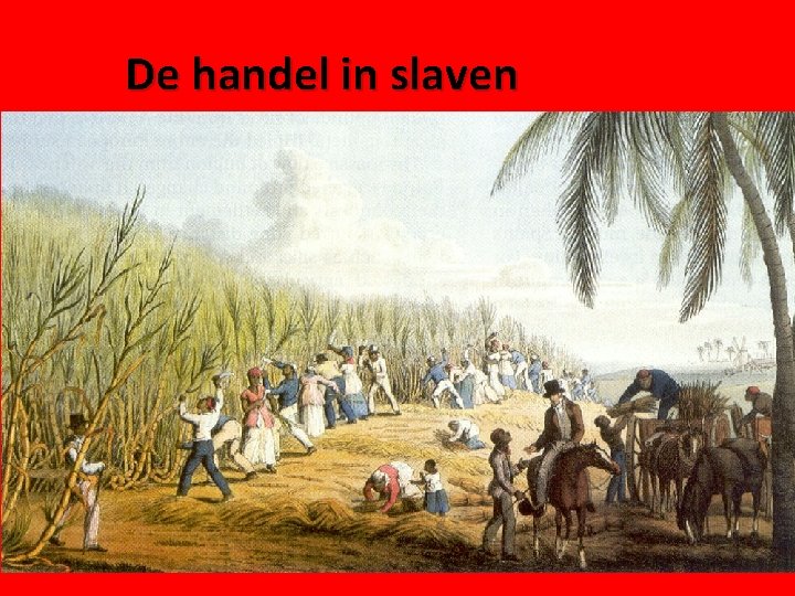 De handel in slaven In Afrika worden slaven gekocht Vervoerd naar Curaçao (door de