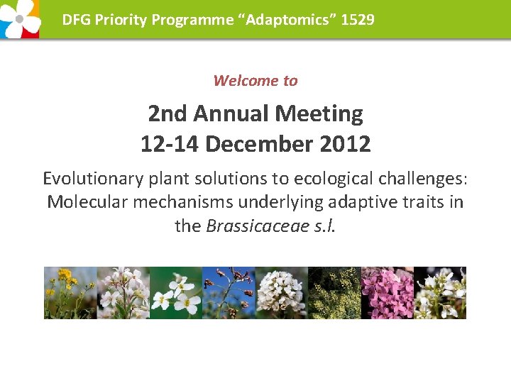 DFG Priority Programme “Adaptomics” 1529 Welcome to 2 nd Annual Meeting 12 -14 December