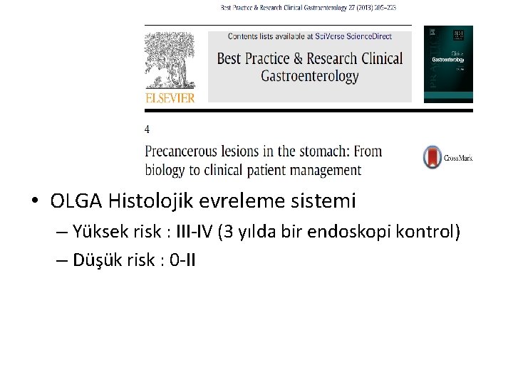  • OLGA Histolojik evreleme sistemi – Yüksek risk : III-IV (3 yılda bir