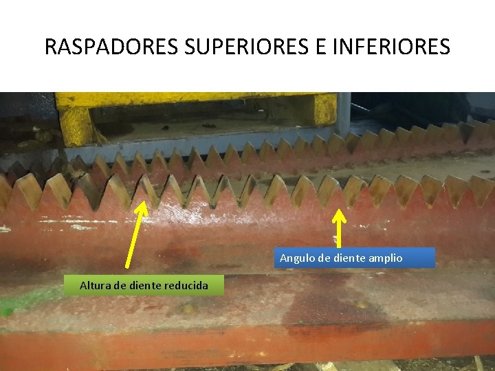 RASPADORES SUPERIORES E INFERIORES Angulo de diente amplio Altura de diente reducida 