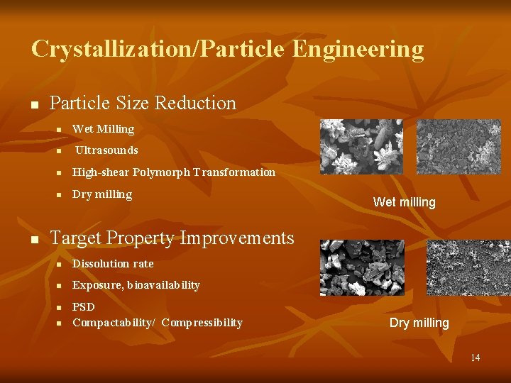 Crystallization/Particle Engineering n Particle Size Reduction n Wet Milling Ultrasounds n High-shear Polymorph Transformation