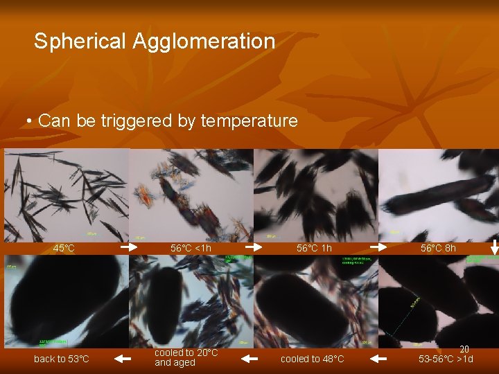Spherical Agglomeration • Can be triggered by temperature 45°C back to 53°C 56°C <1