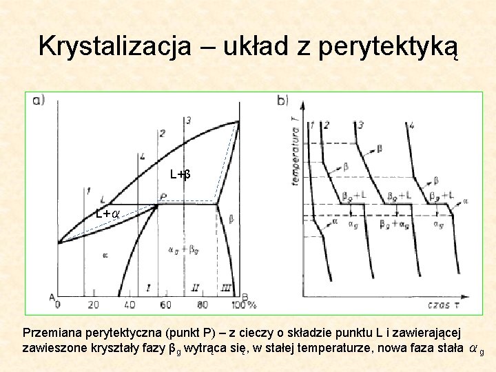 Krystalizacja – układ z perytektyką L+β L+α Przemiana perytektyczna (punkt P) – z cieczy