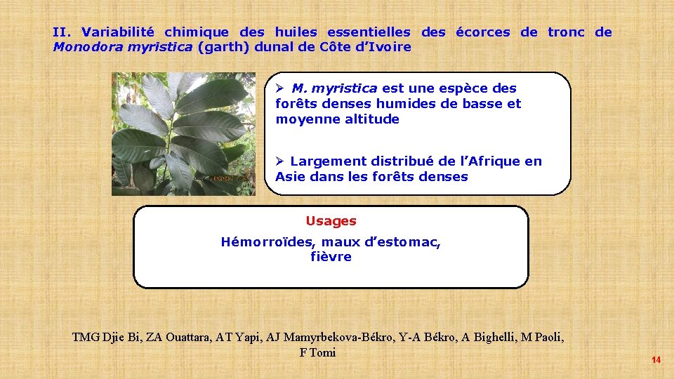 II. Variabilité chimique des huiles essentielles des écorces de tronc de Monodora myristica (garth)