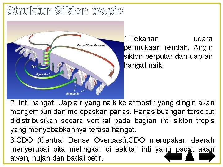 Struktur Siklon tropis 1. Tekanan udara permukaan rendah. Angin siklon berputar dan uap air