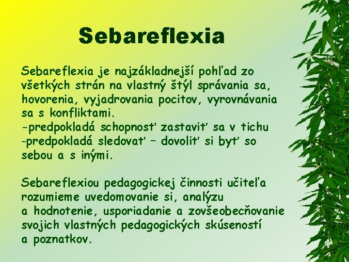 Sebareflexia je najzákladnejší pohľad zo všetkých strán na vlastný štýl správania sa, hovorenia, vyjadrovania