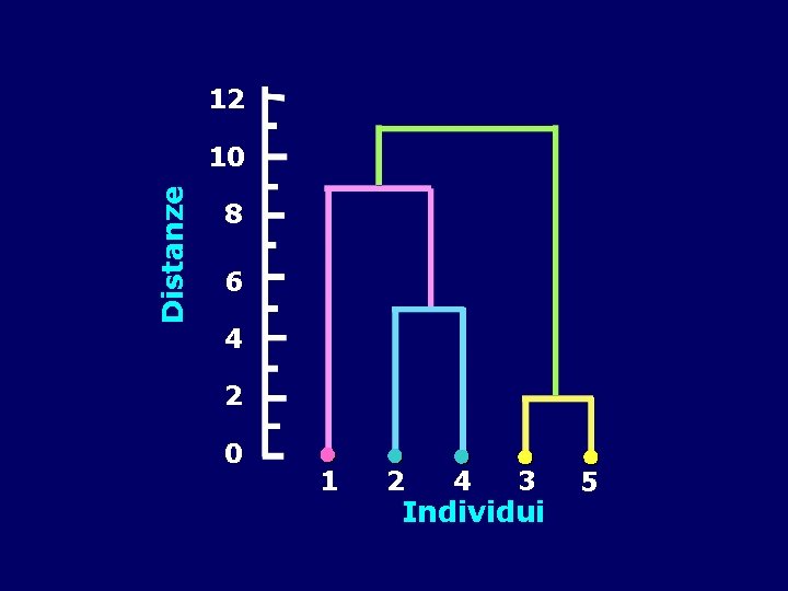 12 Distanze 10 8 6 4 2 0 1 2 4 3 Individui 5