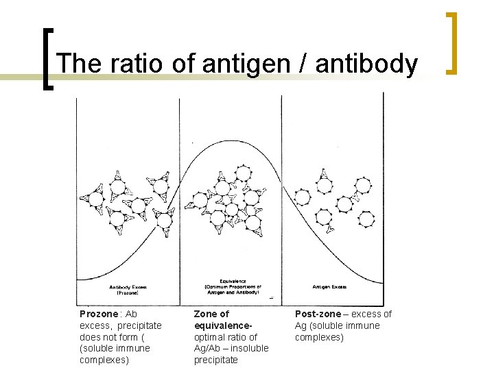 The ratio of antigen / antibody Prozone : Ab excess, precipitate does not form