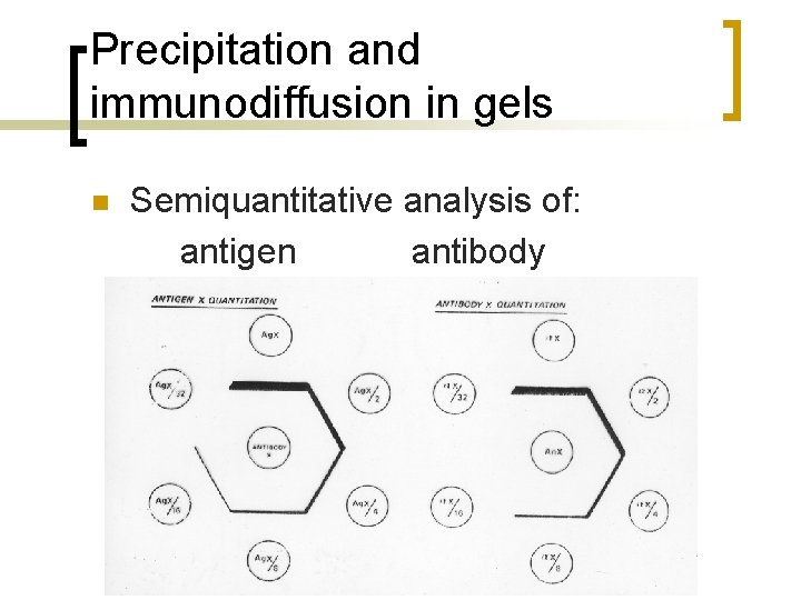 Precipitation and immunodiffusion in gels n Semiquantitative analysis of: antigen antibody 