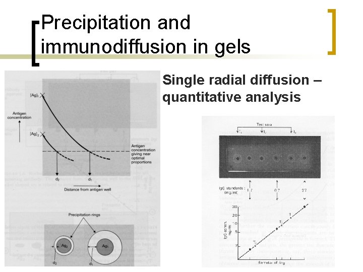 Precipitation and immunodiffusion in gels Single radial diffusion – quantitative analysis 