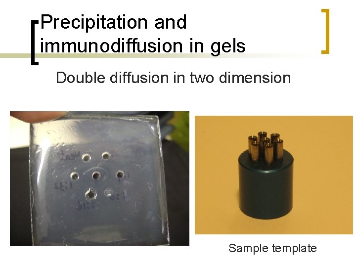 Precipitation and immunodiffusion in gels Double diffusion in two dimension Sample template 