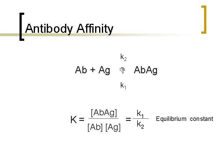 Antibody Affinity k 2 Ab + Ag Ab. Ag k 1 [Ab. Ag] k