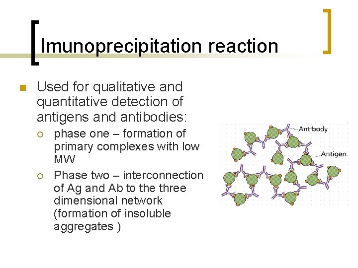 Imunoprecipitation reaction n Used for qualitative and quantitative detection of antigens and antibodies: ¡