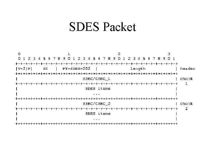 SDES Packet 