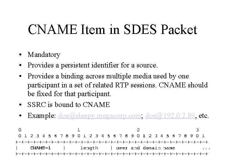 CNAME Item in SDES Packet • Mandatory • Provides a persistent identifier for a