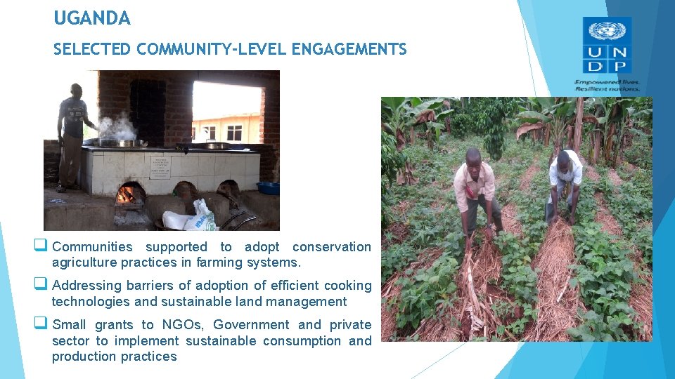 UGANDA SELECTED COMMUNITY-LEVEL ENGAGEMENTS q Communities supported to adopt conservation agriculture practices in farming