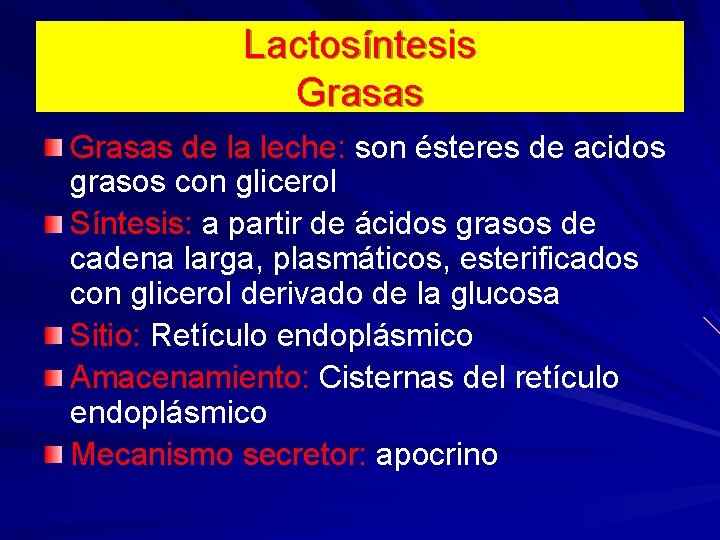 Lactosíntesis Grasas de la leche: son ésteres de acidos grasos con glicerol Síntesis: a