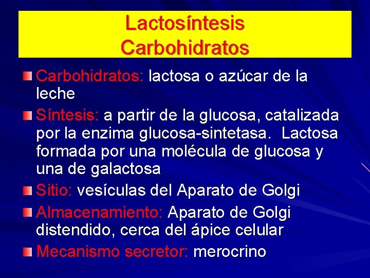 Lactosíntesis Carbohidratos: lactosa o azúcar de la leche Síntesis: a partir de la glucosa,