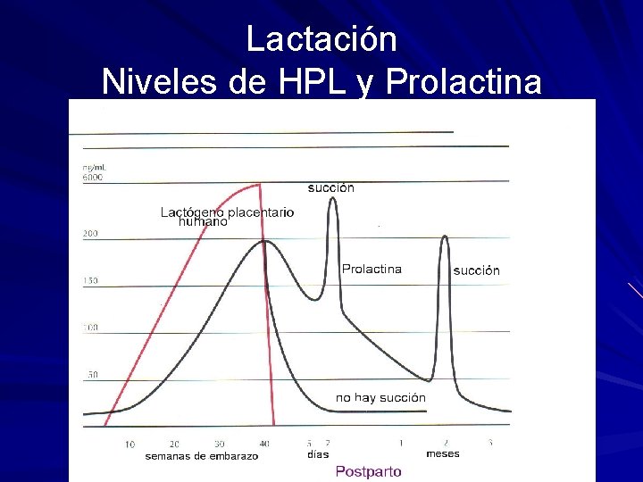 Lactación Niveles de HPL y Prolactina 