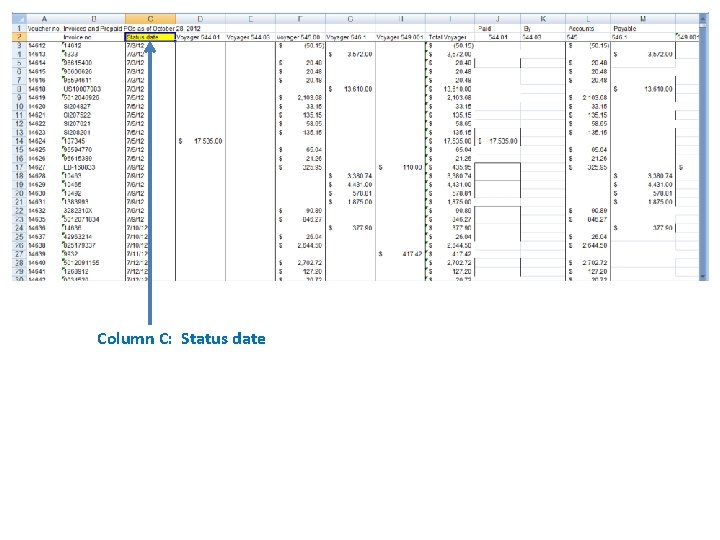 Column C: Status date 