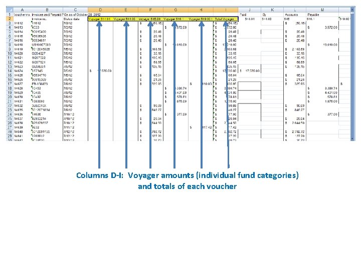 Columns D-I: Voyager amounts (individual fund categories) and totals of each voucher Columns D-I: Voyager amounts (individual fund categories) and totals of each voucher
