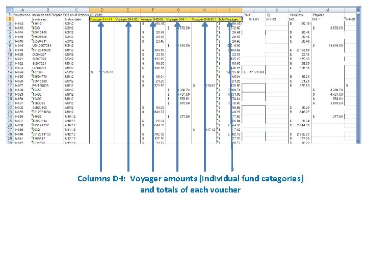 Columns D-I: Voyager amounts (individual fund categories) and totals of each voucher 