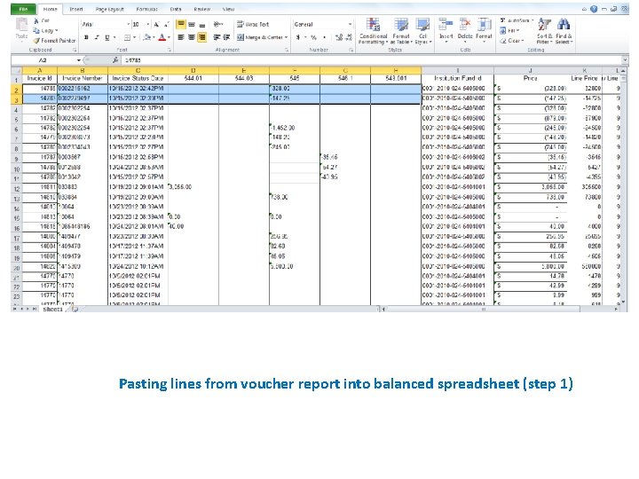 Pasting lines from voucher report into balanced spreadsheet (step 1) 