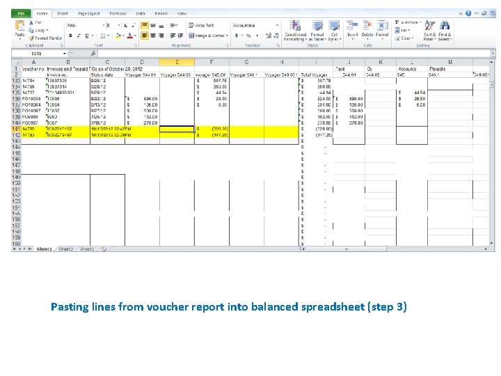 Pasting lines from voucher report into balanced spreadsheet (step 3) 