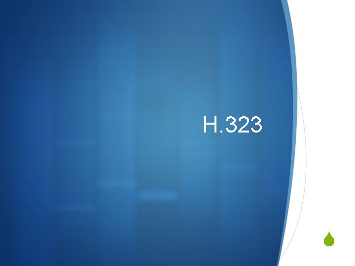 H. 323 S 
