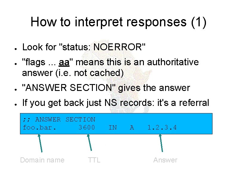 How to interpret responses (1) ● ● Look for "status: NOERROR" "flags. . .
