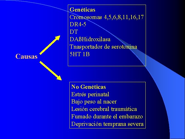 Causas Genéticas Cromosomas 4, 5, 6, 8, 11, 16, 17 DR 4 -5 DT