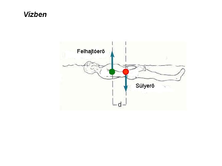 Vízben Felhajtóerő Súlyerő 