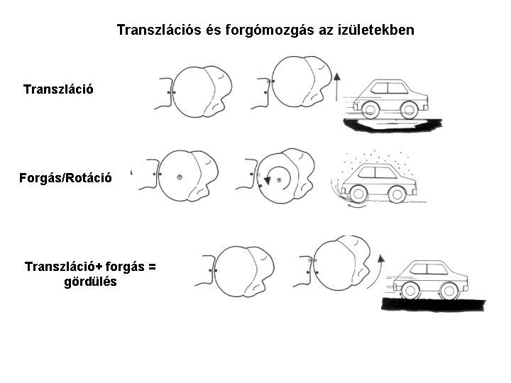 Transzlációs és forgómozgás az izületekben Transzláció Forgás/Rotáció Transzláció+ forgás = gördülés 