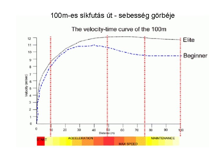 100 m-es síkfutás út - sebesség görbéje 