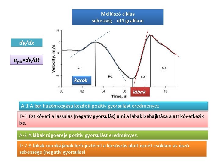 Mellúszó ciklus sebesség – idő grafikon dy/dx apill=dv/dt karok lábak A-1 A kar húzómozgása