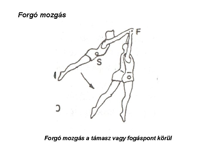 Forgó mozgás a támasz vagy fogáspont körül 