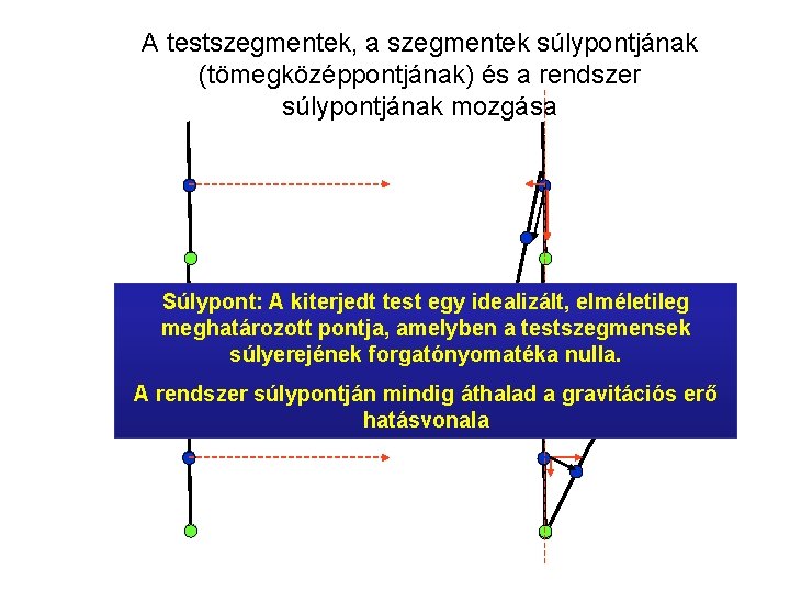 A testszegmentek, a szegmentek súlypontjának (tömegközéppontjának) és a rendszer súlypontjának mozgása Súlypont: A kiterjedt