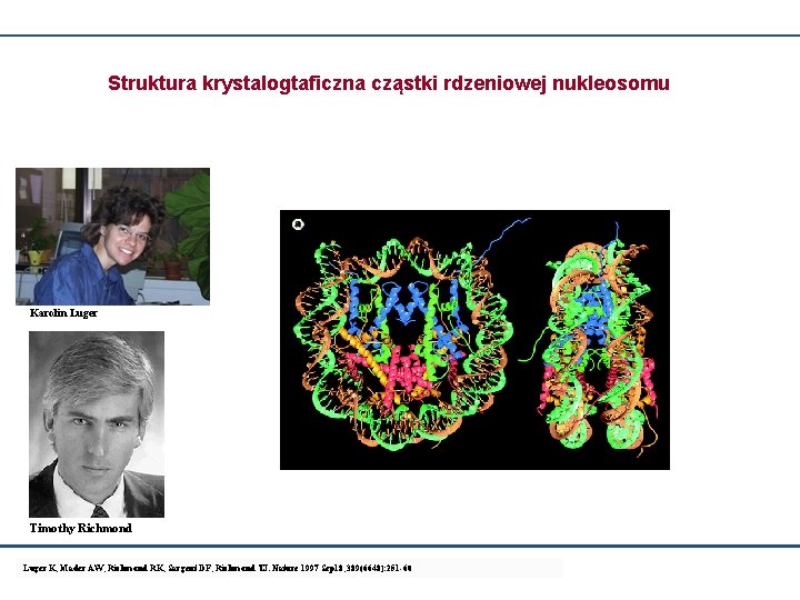 Struktura krystalogtaficzna cząstki rdzeniowej nukleosomu Karolin Luger Timothy Richmond Luger K, Mader AW, Richmond